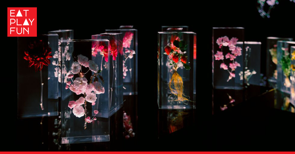 日本花藝大師東信《繁花時敘》台北首展 打造驚艷花卉奇幻宇宙🌹